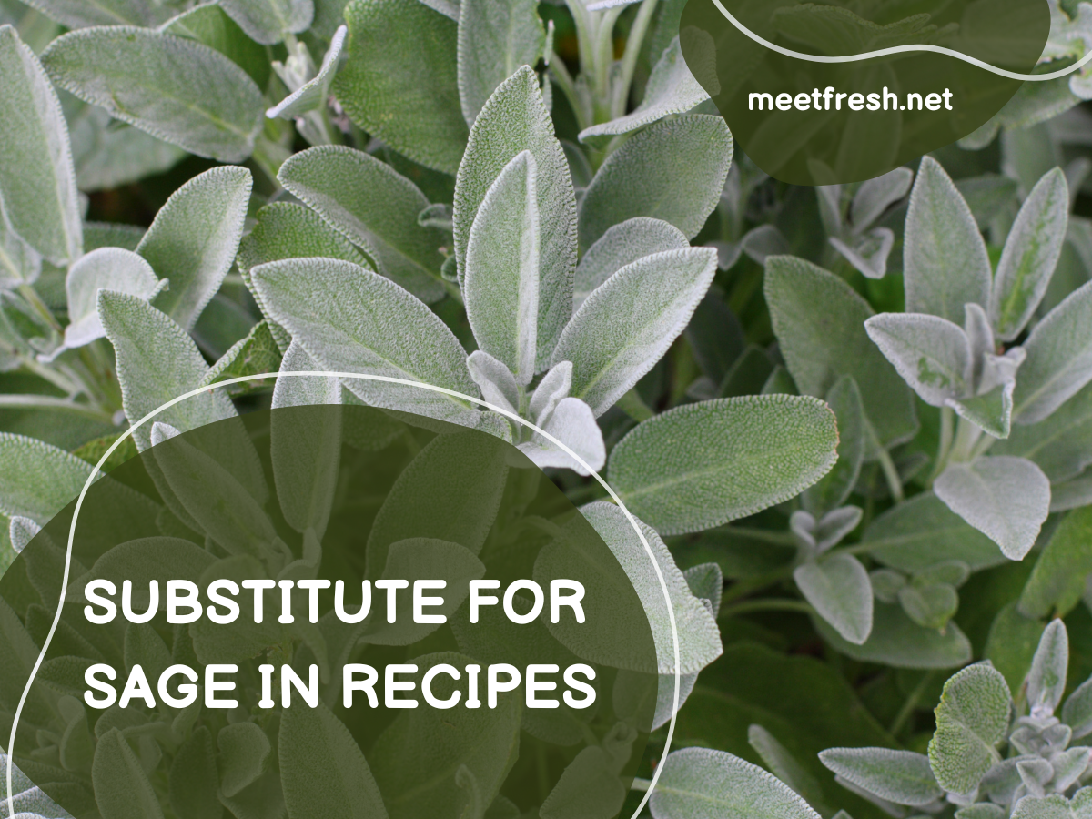 Substitute For Sage in Recipes