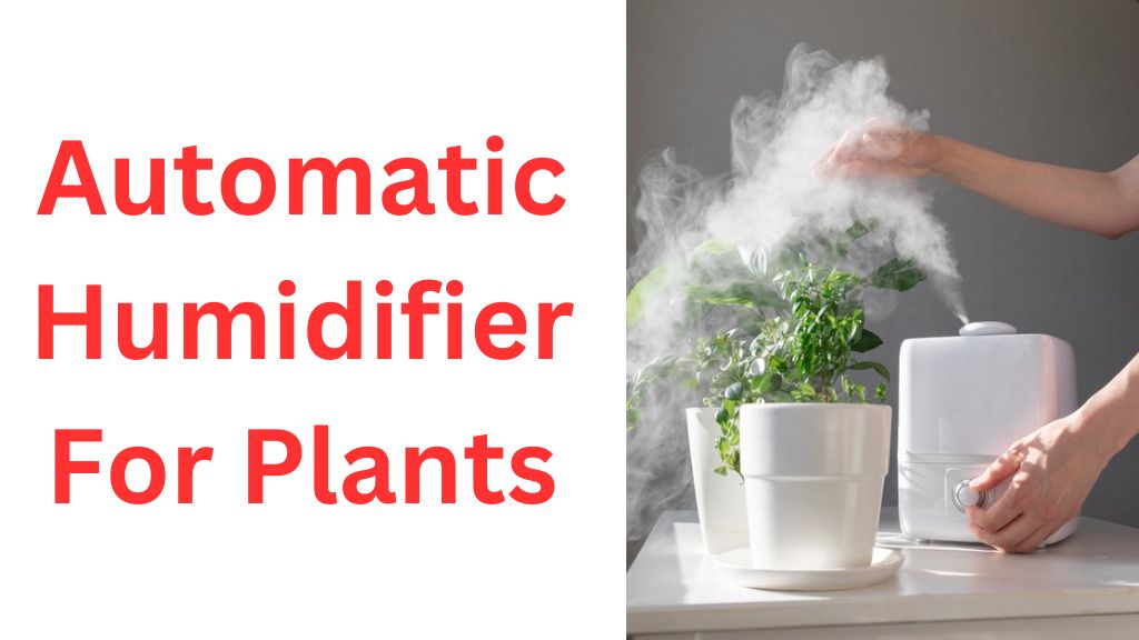Top 9 Automatic Humidifier For Plants 2023